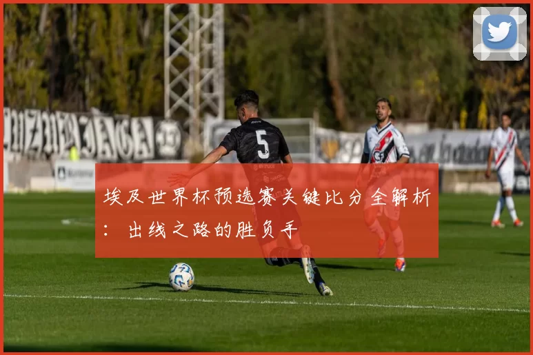 埃及世界杯预选赛关键比分全解析:出线之路的胜负手