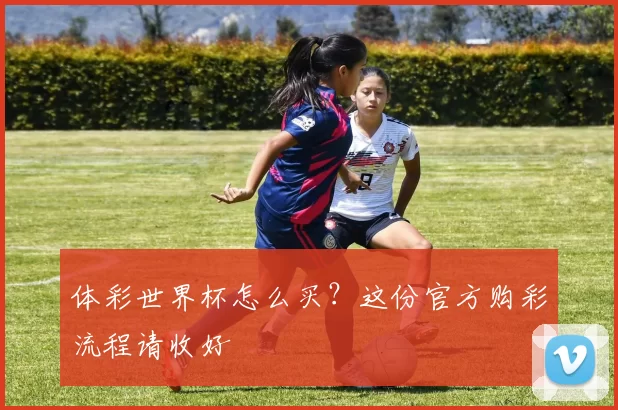 体彩世界杯怎么买？这份官方购彩流程请收好