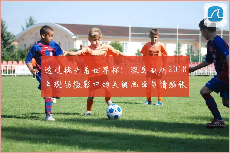 透过镜头看世界杯：深度剖析2018年现场摄影中的关键画面与情感张力