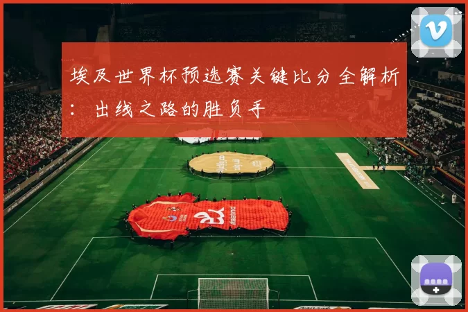 埃及世界杯预选赛关键比分全解析:出线之路的胜负手