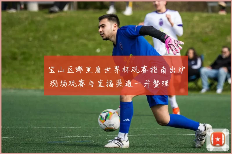 宝山区哪里看世界杯观赛指南出炉 现场观赛与直播渠道一并整理