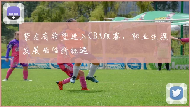 紫龙有希望进入CBA联赛，职业生涯发展面临新机遇